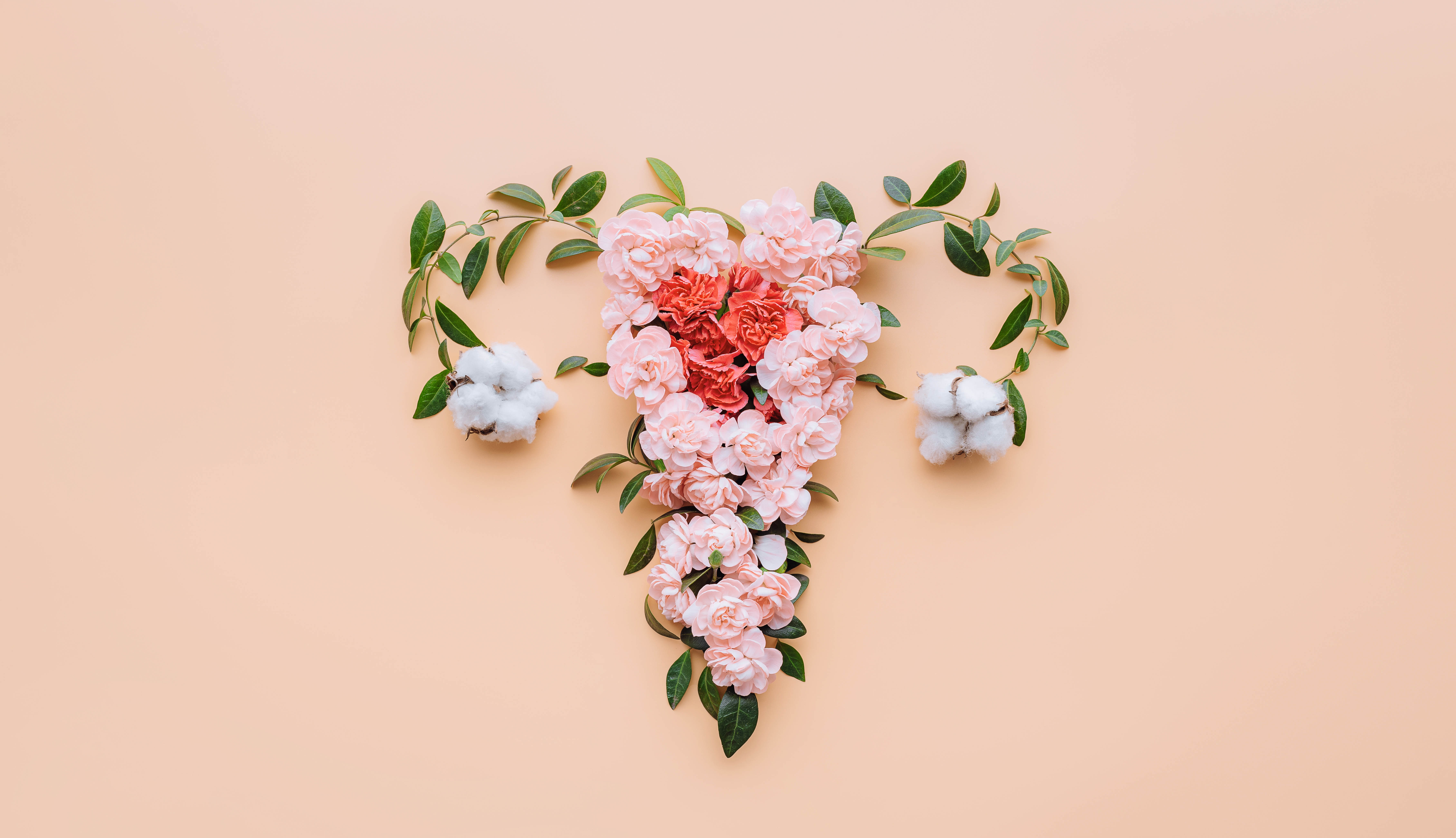 Flowers arranged to look like a uterus Flowers arranged to look like a uterus